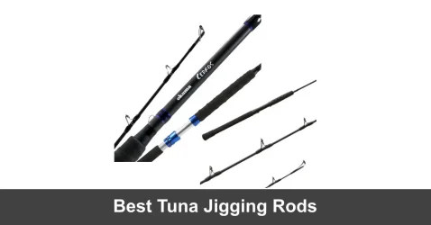 Top 5 Tuna Jigging Rods (Guide 2022)