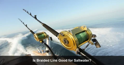 Can I Use Baided Line for Saltwater? Here is the Answer)