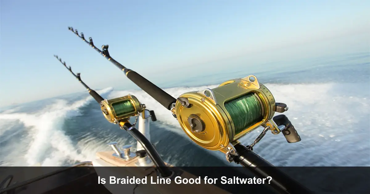 Can I Use Baided Line for Saltwater? Here is the Answer) Fishing Papa