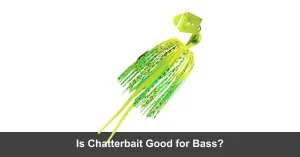 Is Chatterbait Good For Bass