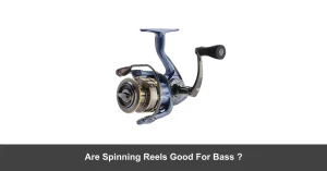 Are Spinning Reels Good For Bass