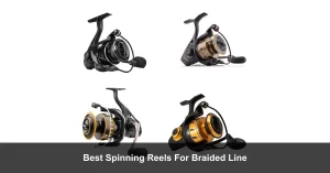 Best Spinning Reel For Braided Line