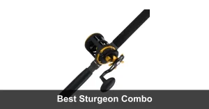Best Sturgeon Rod Reel Combo