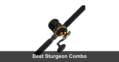 5 Best Sturgeon Rod Reel Combo ( 2022 Guide)