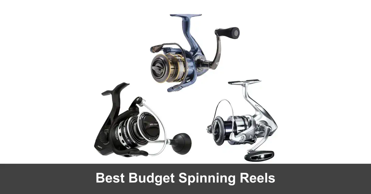 3 Best Budget Spinning Reels ( 2024 Picks) Fishing Papa