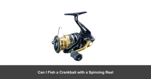 Can I Fish a crankbait with a Spinning Reel