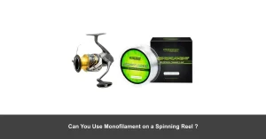 Can You Use Monofilament on a Spinning Reel