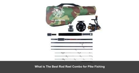 What is The Best Rod Reel Combo for Pike Fishing ( 2022 Picks)