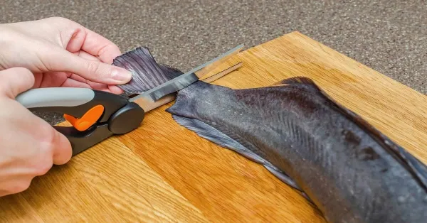 cutting catfish skin 