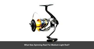 What Size Spinning Reel For Medium Light Rod