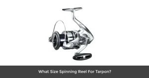 What Size Spinning Reel For Tarpon