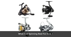 What Size Spinning Reel For Bass