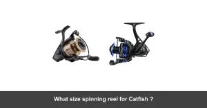 What Size Spinning Reel For Catfish