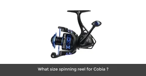 What Size Spinning Reel For Cobia