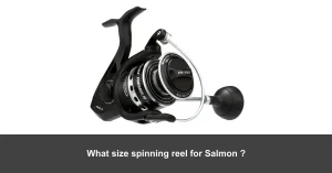 What Size Spinning Reel For Salmon