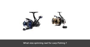 What Size Spinning Reel For Carp