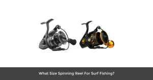Two perfect size spinning reels for surf fishing