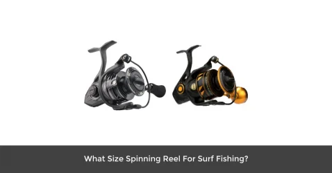 What Size Spinning Reel for Surf Fishing ( Here is the Answer)