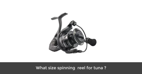 What Size Spinning  Reel for Tuna (Read the Answer) 